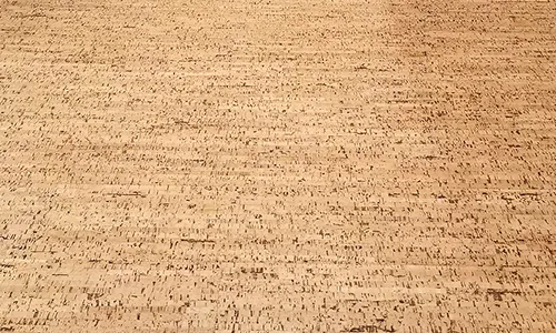Parquet et bois Ergué-Gabéric